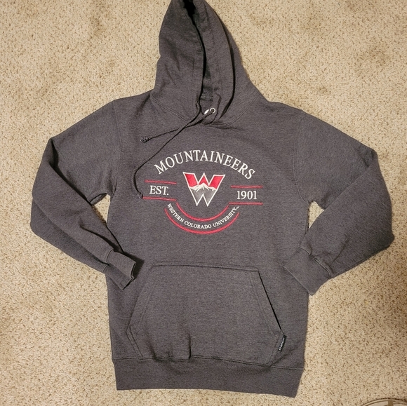 Western Colorado University Hoodie Sweatshirt Long Sleeve Gray Logo Pocket Small - Picture 1 of 3